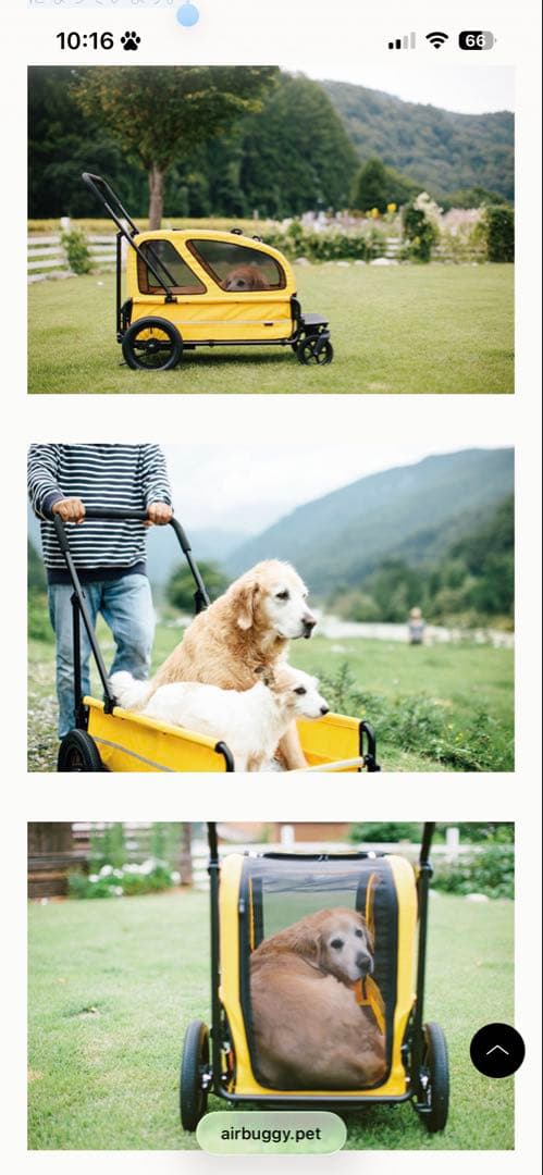 エアバギー・青いペットカート