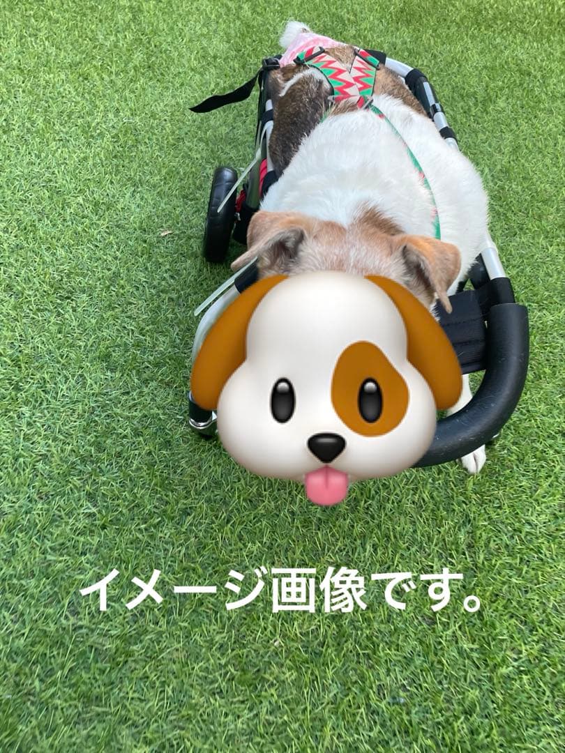 犬用歩行器　犬用車椅子　顎のせ付き