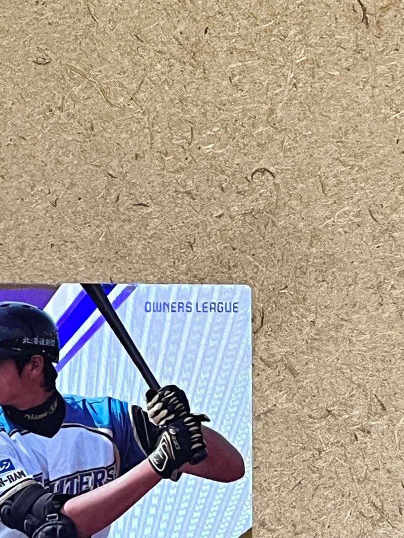 大谷翔平 Shohei Ohtani ファイターズ オーナーズリーグ