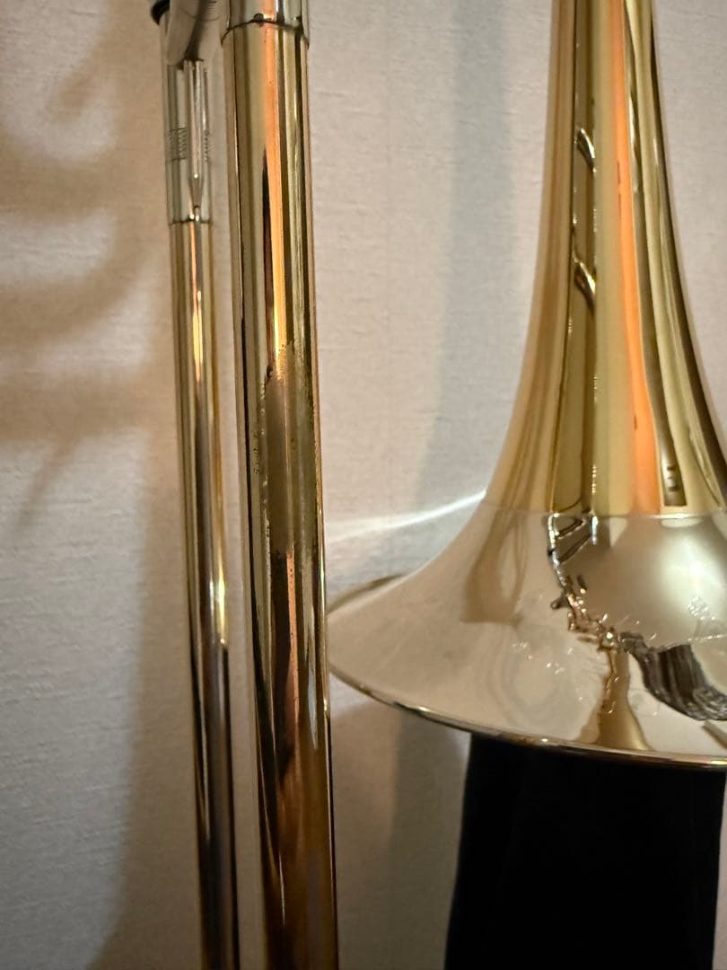 レッチェテナーバストロンボーン