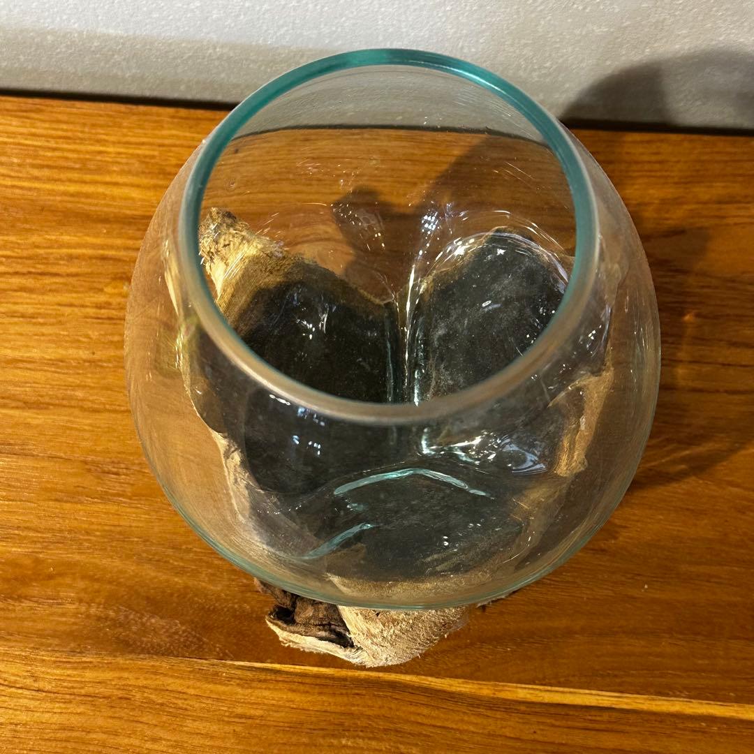 バリ島流木ガラス　w16×d14×h20cm 水槽　アクアリウムメダカ水槽812