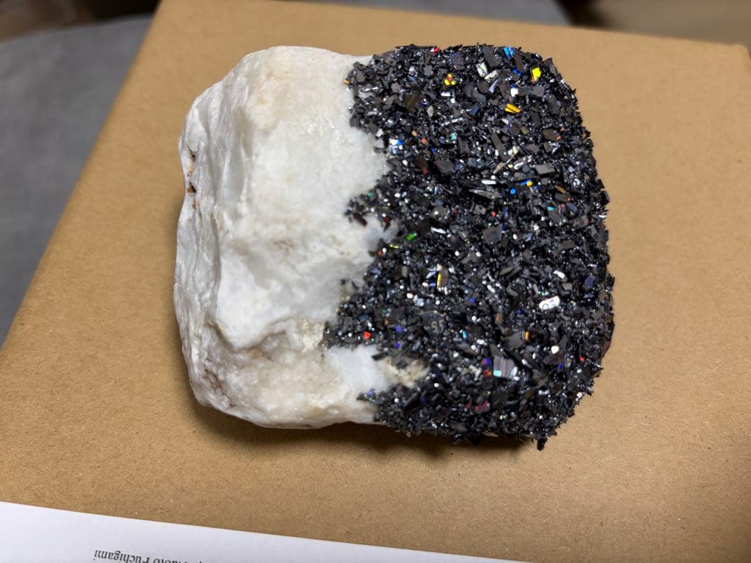 淵上直斗 Naoto Fuchigami stone 石　現代アート