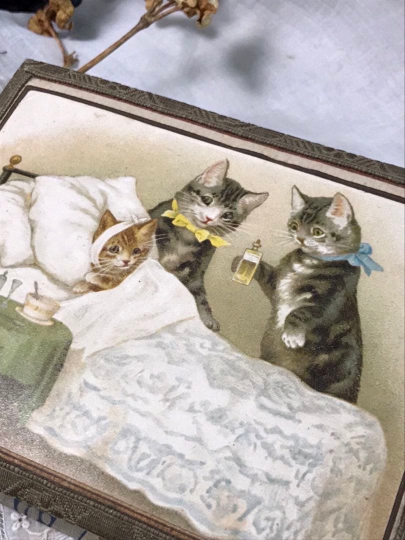 フランスアンティーク　愛らしい猫さんたちのbox