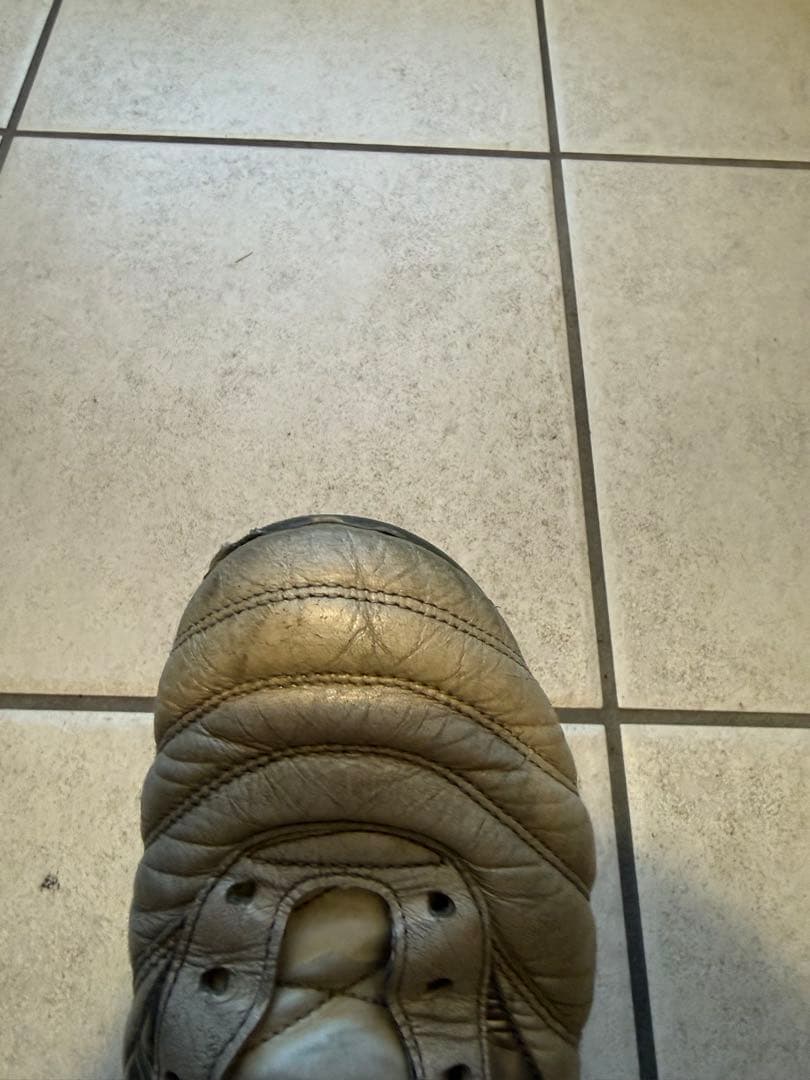 モレリアDNA 26㎝