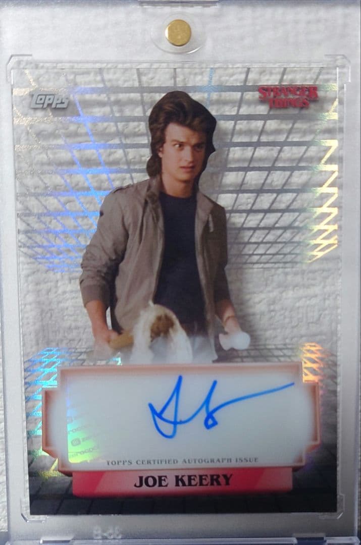 ストレンジャーシングス スティーブ auto サインStrangerthings