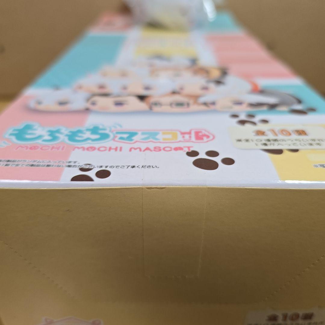 予約特典付き うちタマ?! もちもちマスコットぬいぐるみ ボックスセット