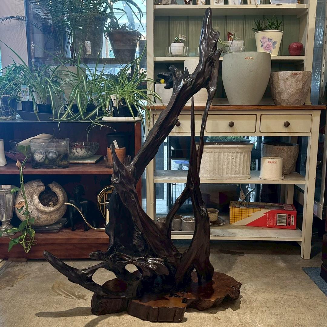 【大特価】 観賞用 流木 オブジェ 置物 爬虫類飼育 アクアリウム 古木材アート