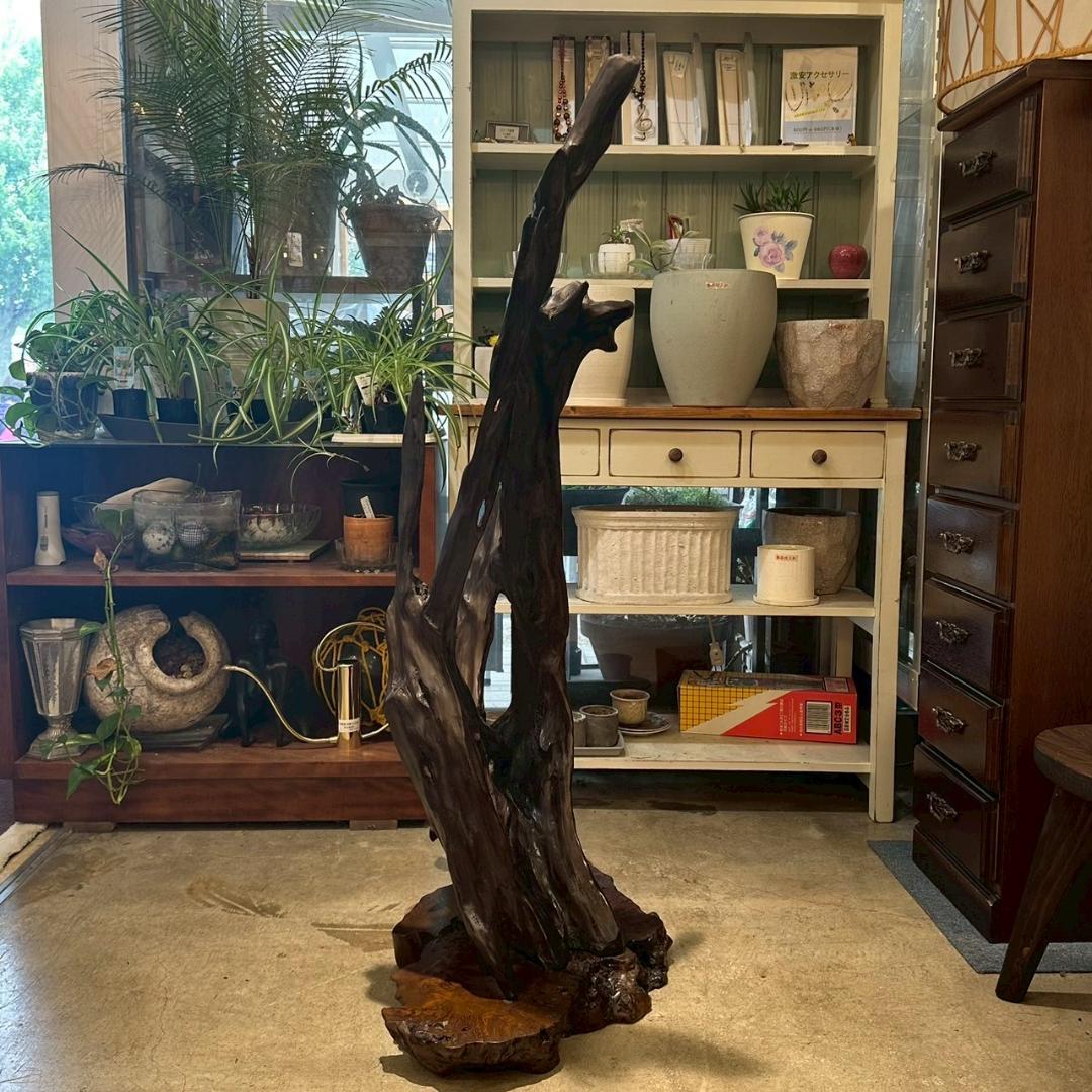 【大特価】 観賞用 流木 オブジェ 置物 爬虫類飼育 アクアリウム 古木材アート