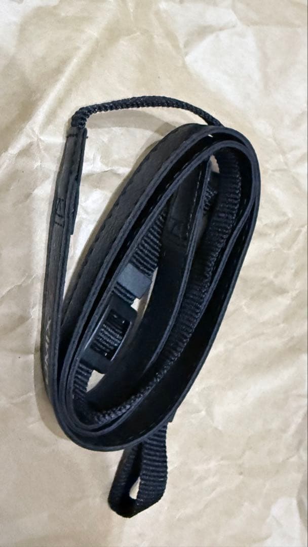 ほぼ新品 LUMIX DC-GF10W その他付属品