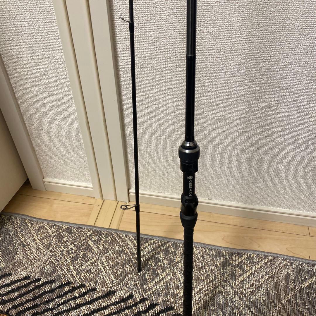 コアマン　DayStar.(デイスター) CDS86L-CS アルカリダートSP