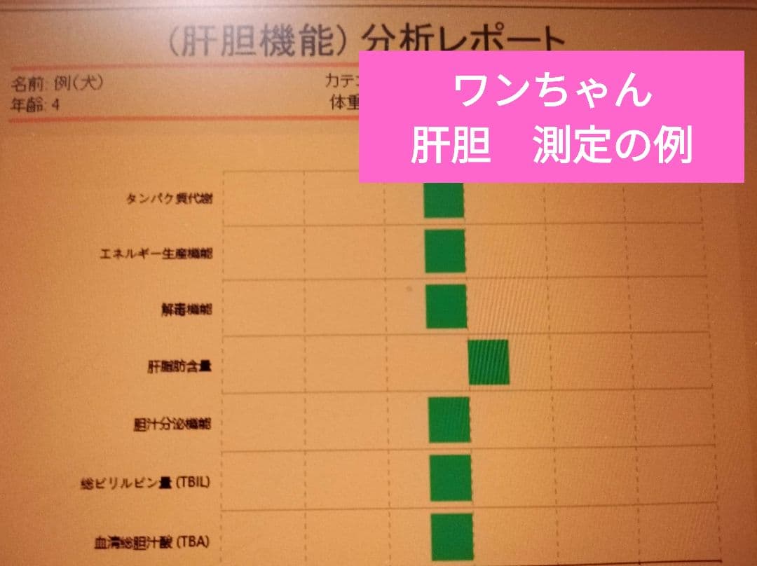 ペットアナライザー　ドッグスキャンの代わりに　健康測定