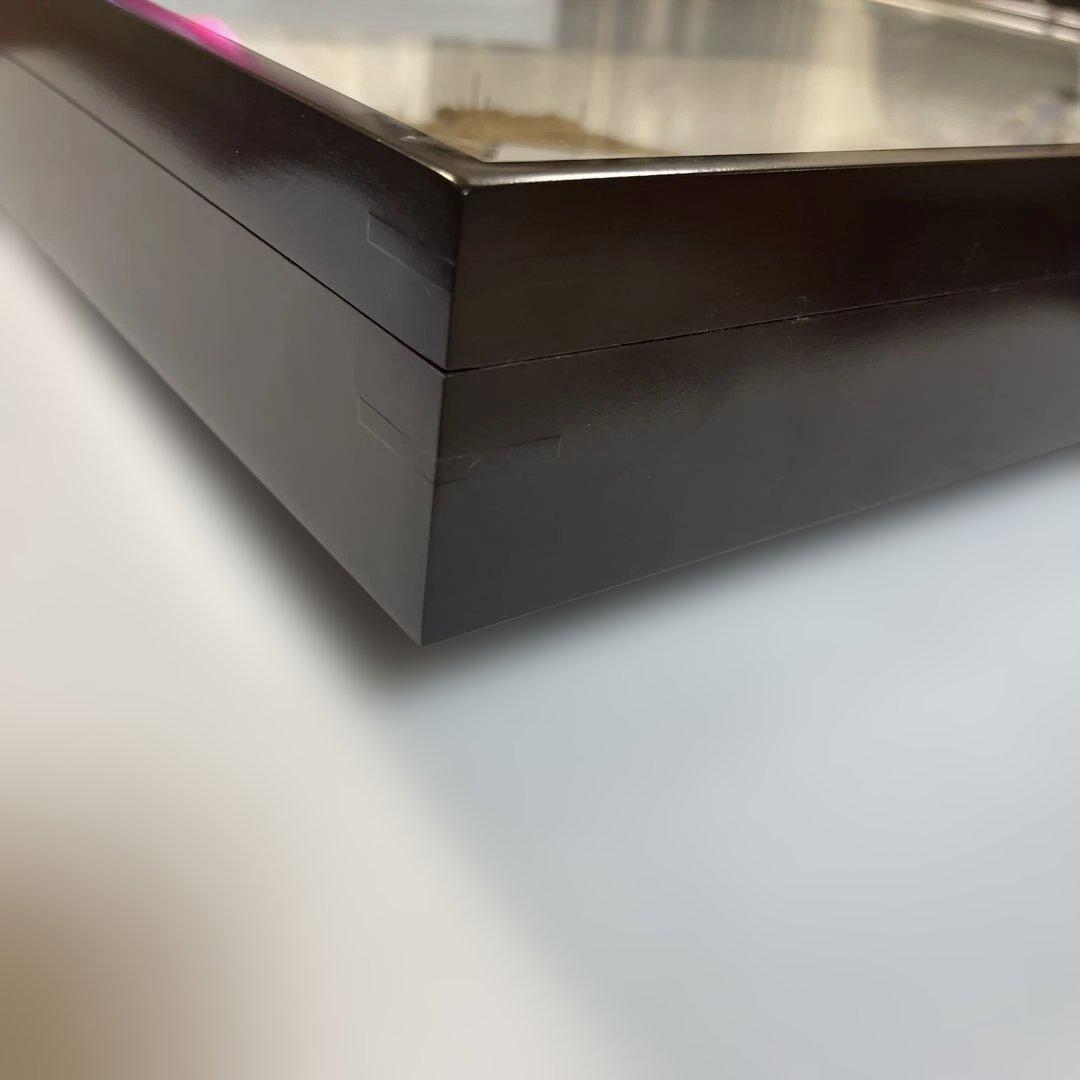 蝶標本箱　UV防止膜ドイツ箱