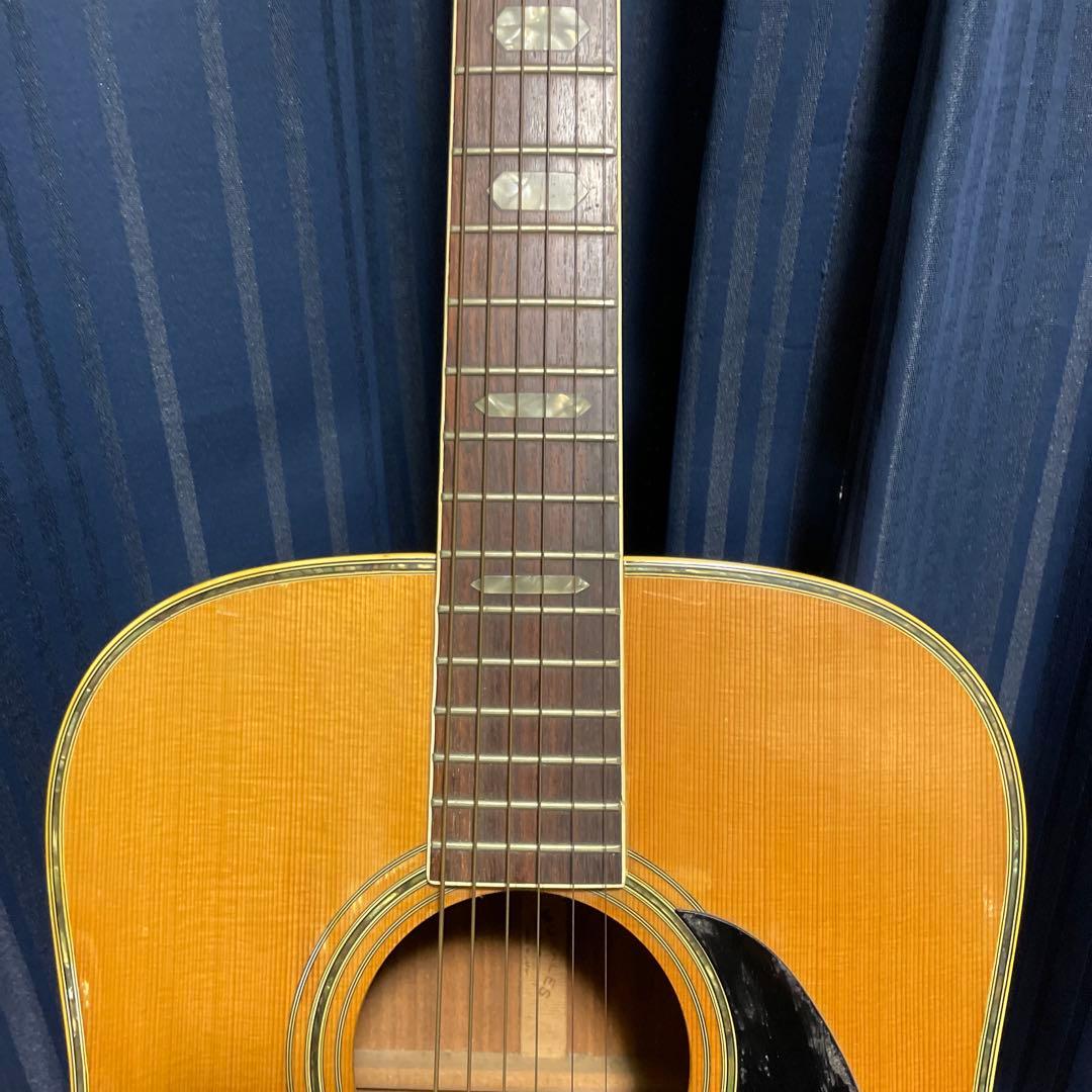 MORALES モラレス縦ロゴ アコースティックギター ソフトケース付き