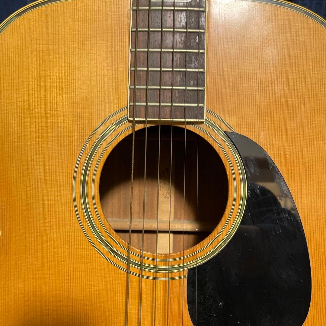 MORALES モラレス縦ロゴ アコースティックギター ソフトケース付き