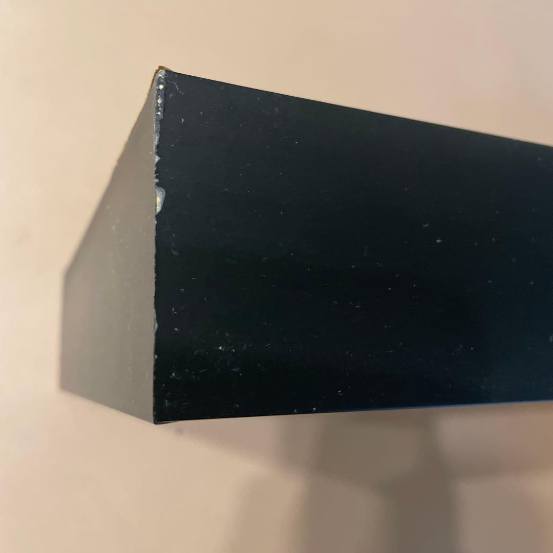 コーカサスオオカブト標本（マレーシア産）