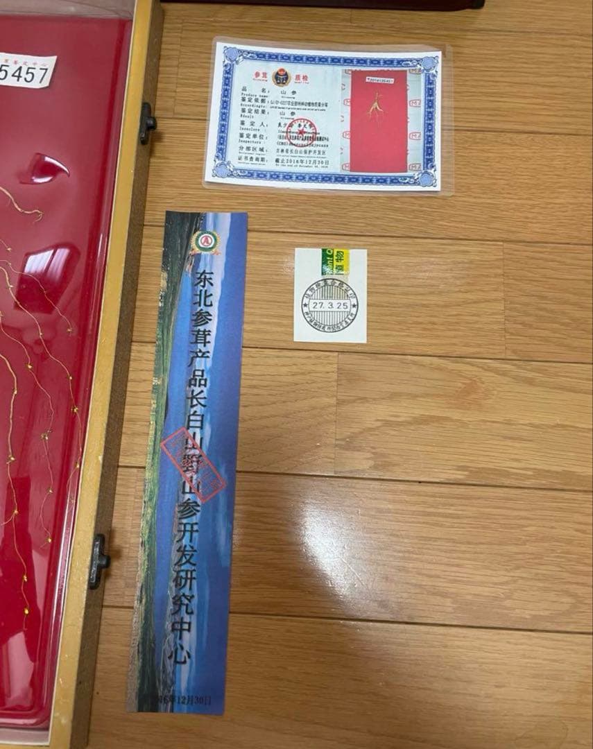 鑑定書付き 中国山参人参　置物　飾り物　高麗人参 シリアル付き