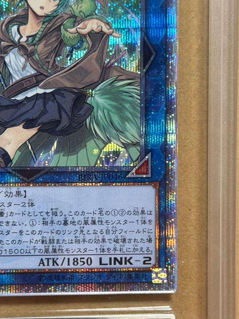 【超極美品】ARS10 蒼翠の風霊使いウィン 20th