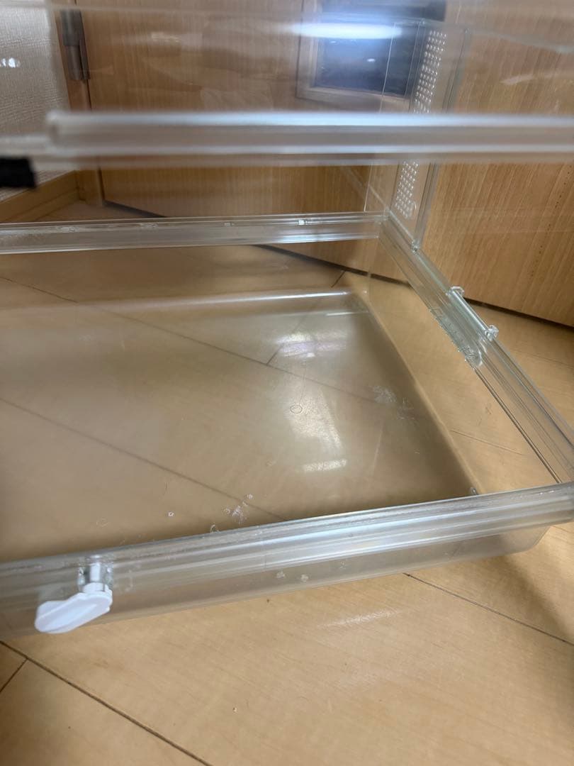 GEX グラスハーモニー600 BUCATSTATEセット