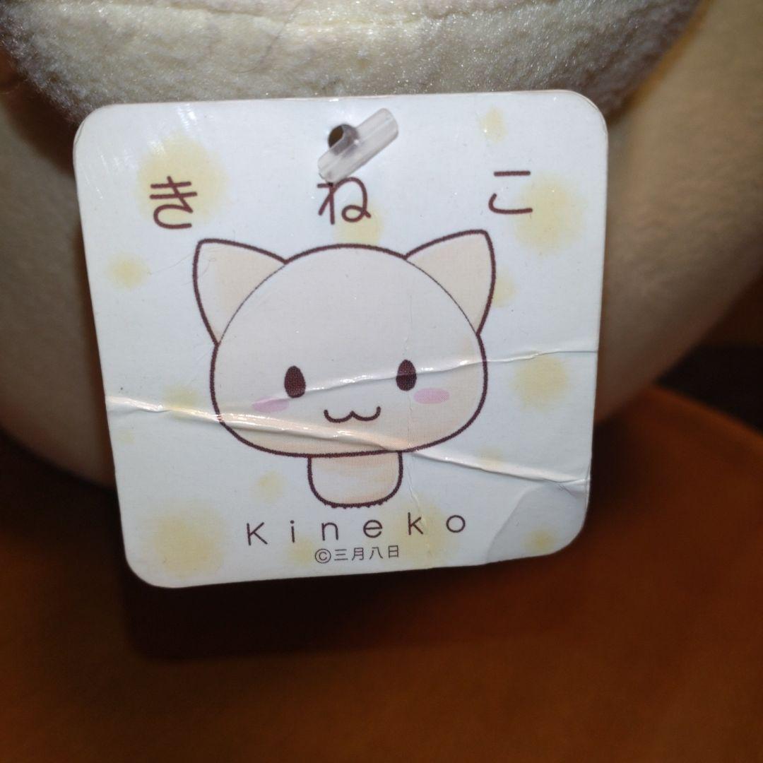 きねこ　三月八日　特大