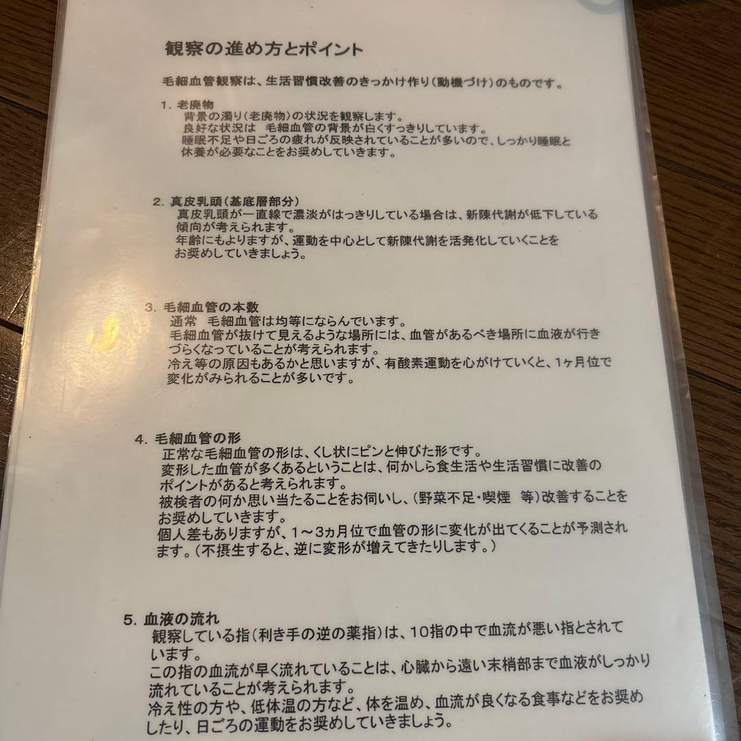 血流観察装置BscanPRO