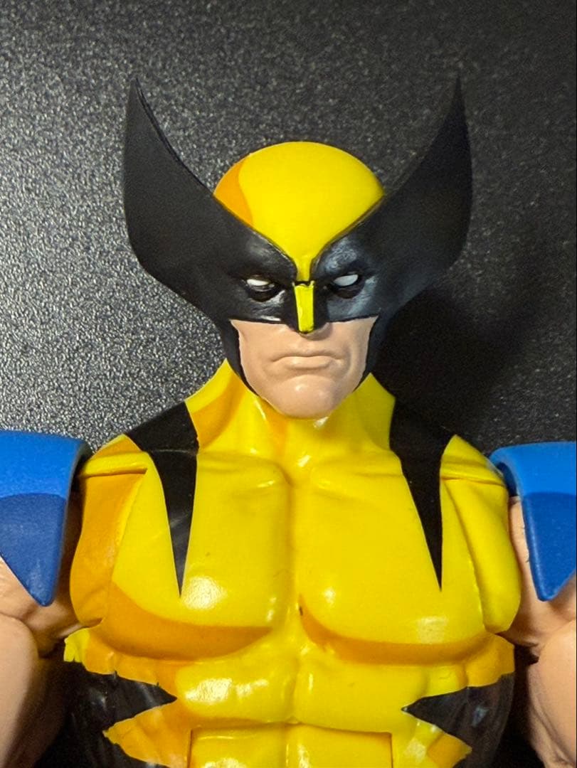 マーベルレジェンドX-MEN VHS サイクロプス　ウルヴァリン2体セット