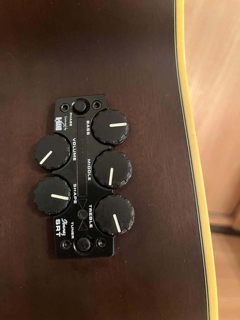 Ibanez AEL20E / AEL40SEジャンク　ケース付