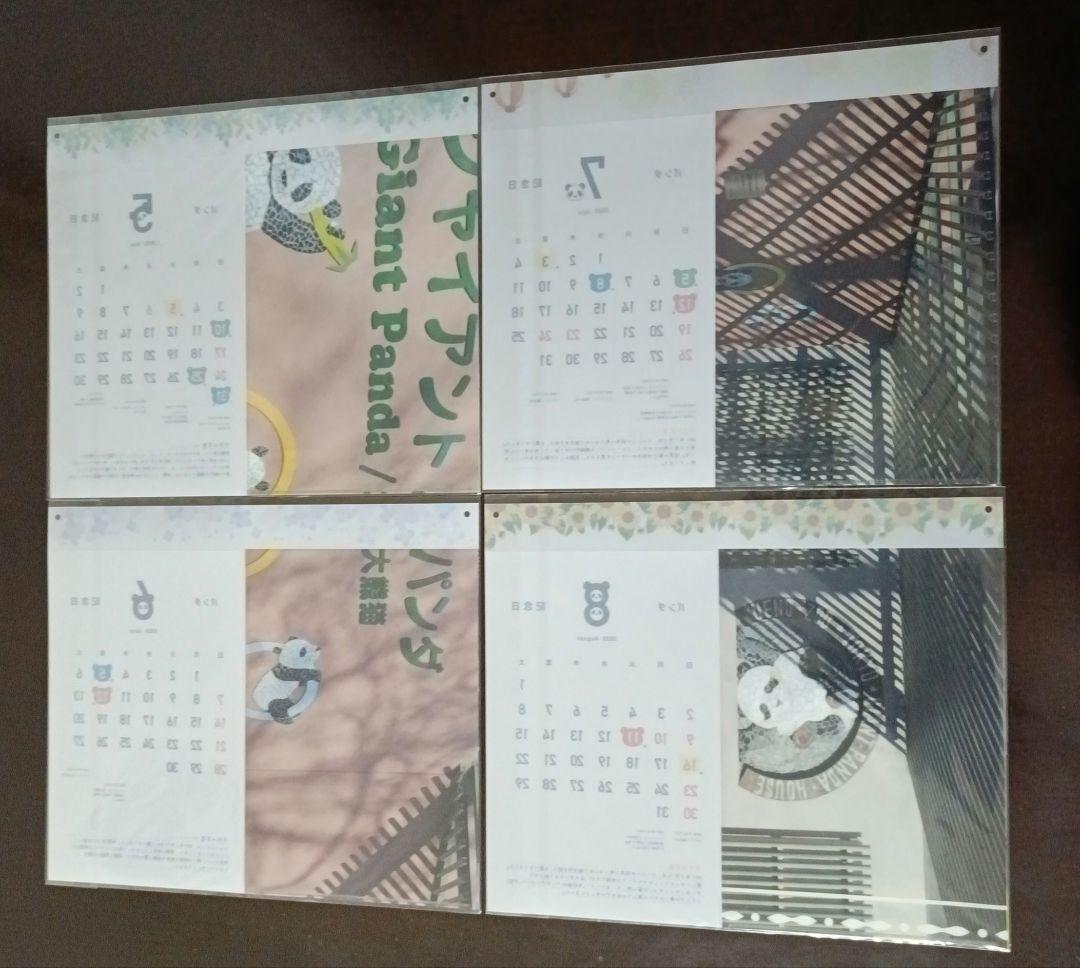 パンダ記念日カレンダー入りクリアファイル 13枚 松坂屋上野店 シャンシャン