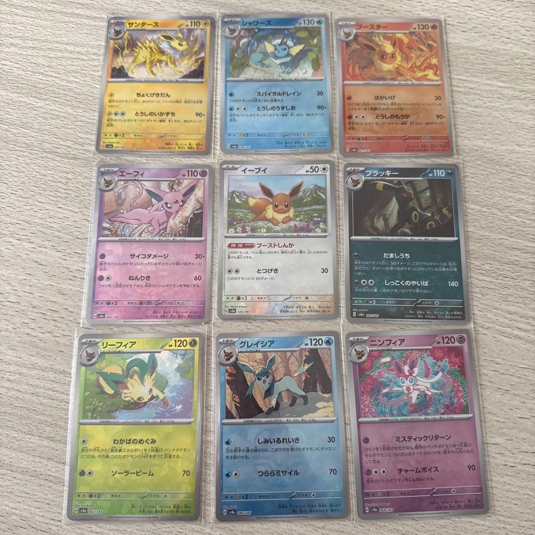 テラスタルフェス まとめ売り ブイズコンプ