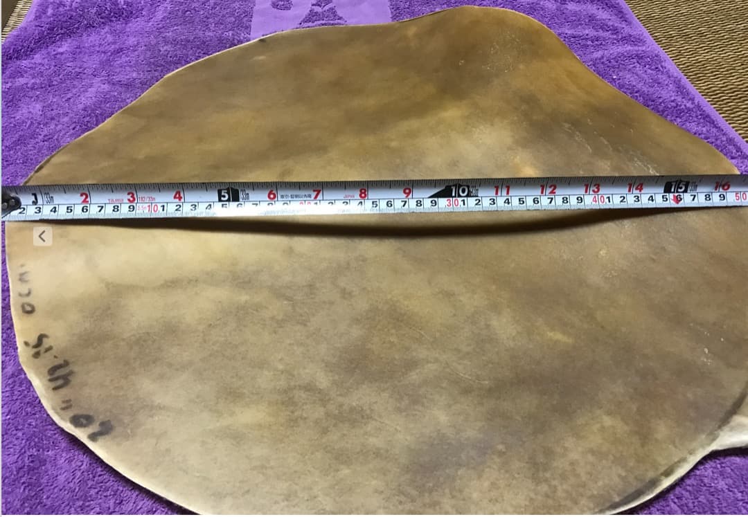 キューバ産コンガ用フラットヘッド