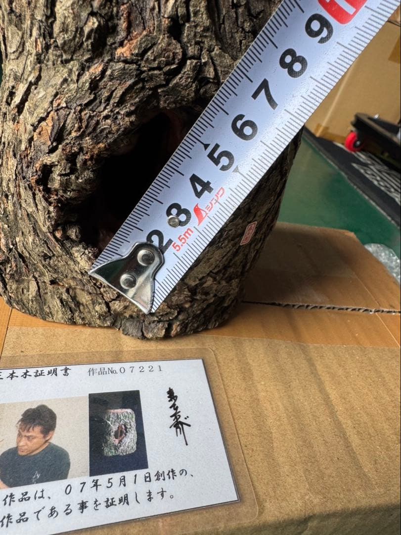 三本木　森兵衛A+Ω クラフトウッド　「クワガタ」