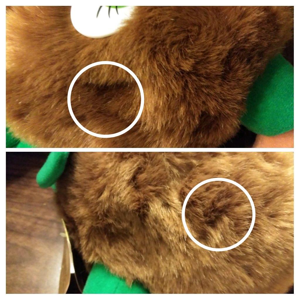 キウイフルーツ　BIGぬいぐるみ