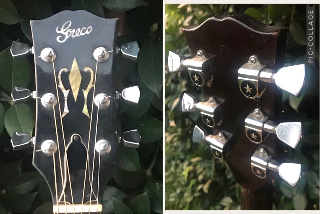 greco 401 ヘリテージ model フジゲン