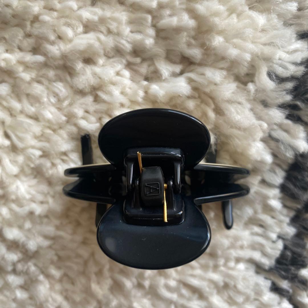 アレクサンドルドゥパリ　リズレーヘアクリップ