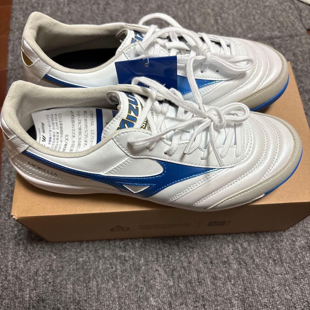 モレリア　サラ　エリート　tf