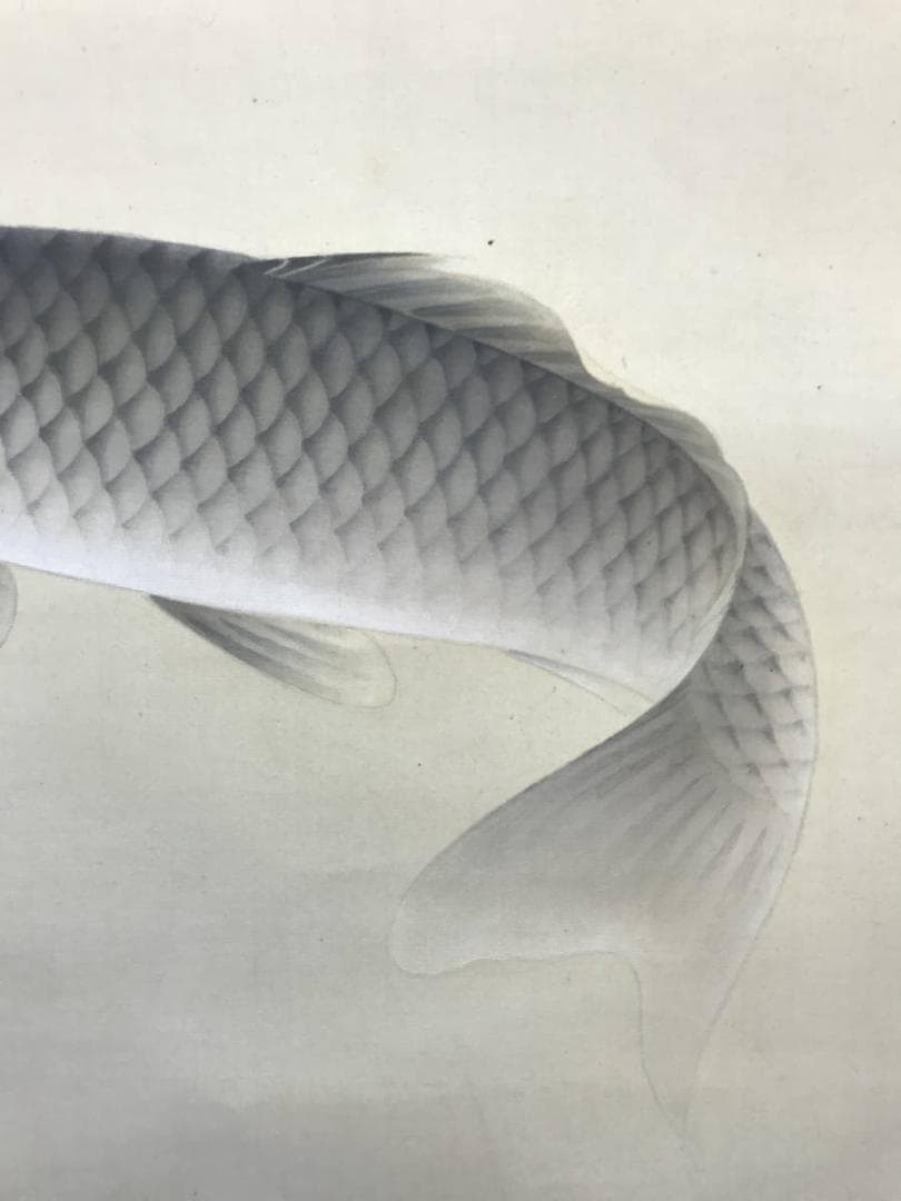 【真作】村田一径/遊鯉図玉堂門/鯉図/掛軸/名家伝来/AC-48