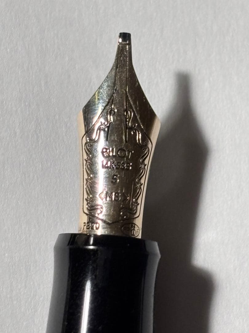 Pilot Custom 74 万年筆 MS ミュージックニブ
