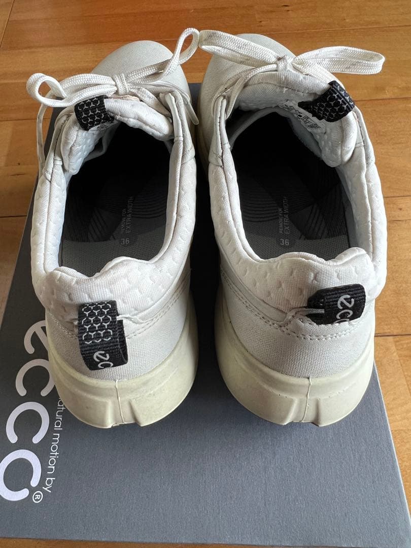 エコー　ゴルフシューズ