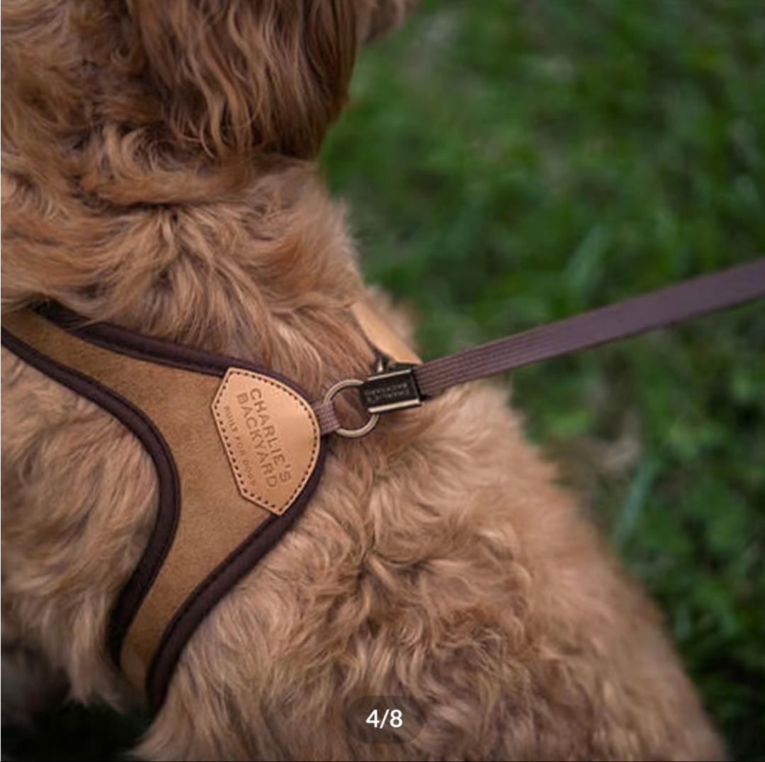 CHARLIE’S BACKYARD イージーハーネスL、イージーリーシュセット