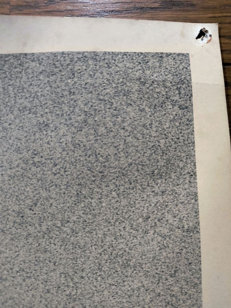 超レア ブラッド・ピット HONDA INTEGRA (インテグラ)B1ポスター