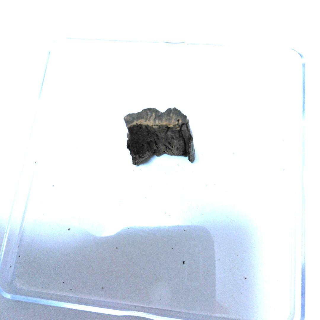 最高級シャム沈香3.35g