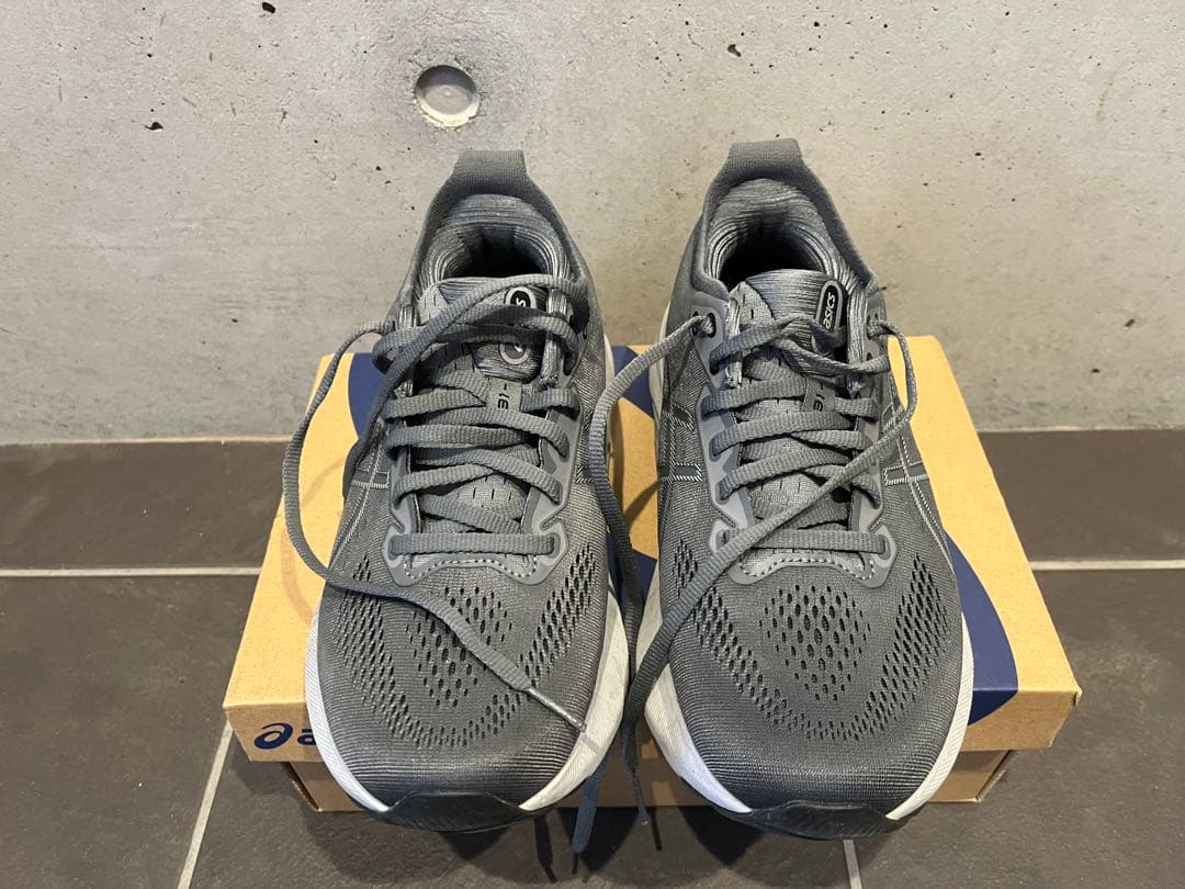 asics GEL-KAYANO31 サイズ25.0アシックスゲルカヤノ31美品