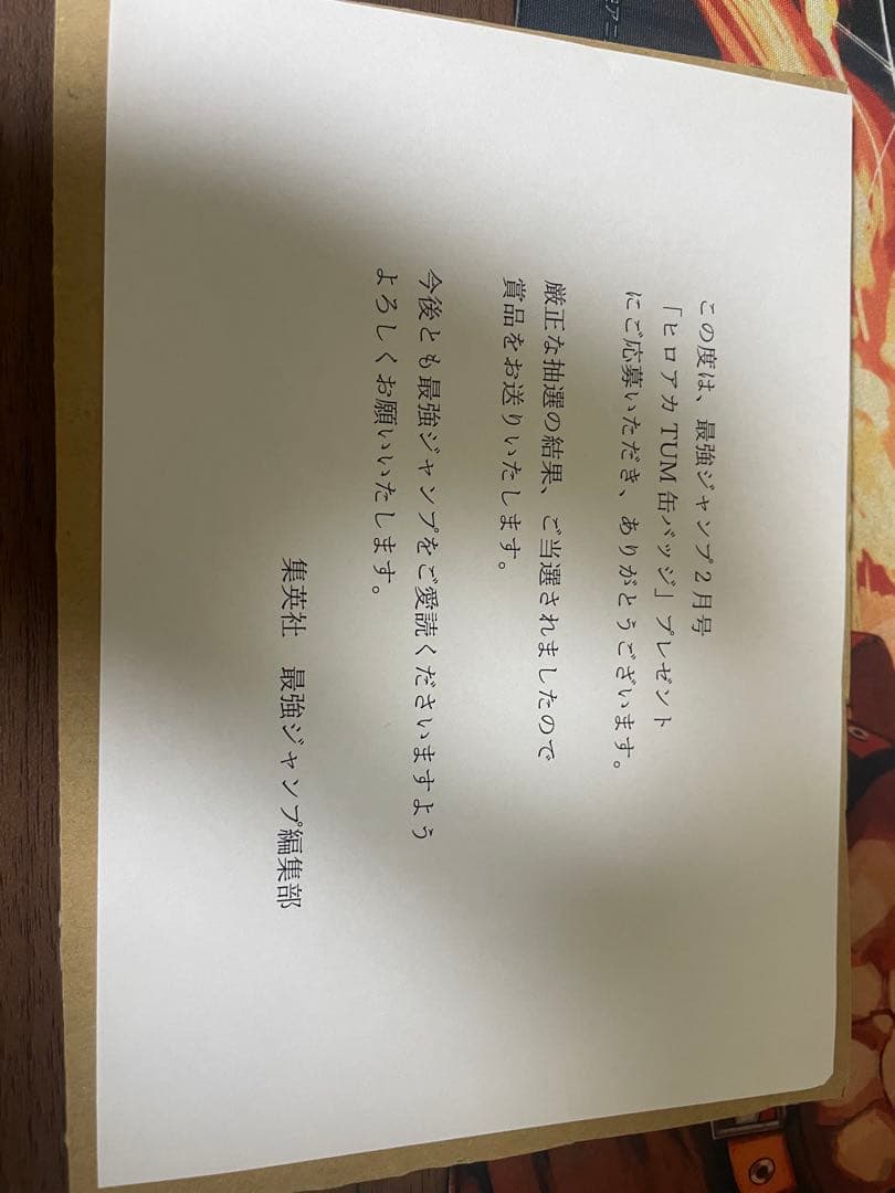 僕のヒーローアカデミア ヒロアカ　新十傑缶バッジ　コンプ　50名当選品