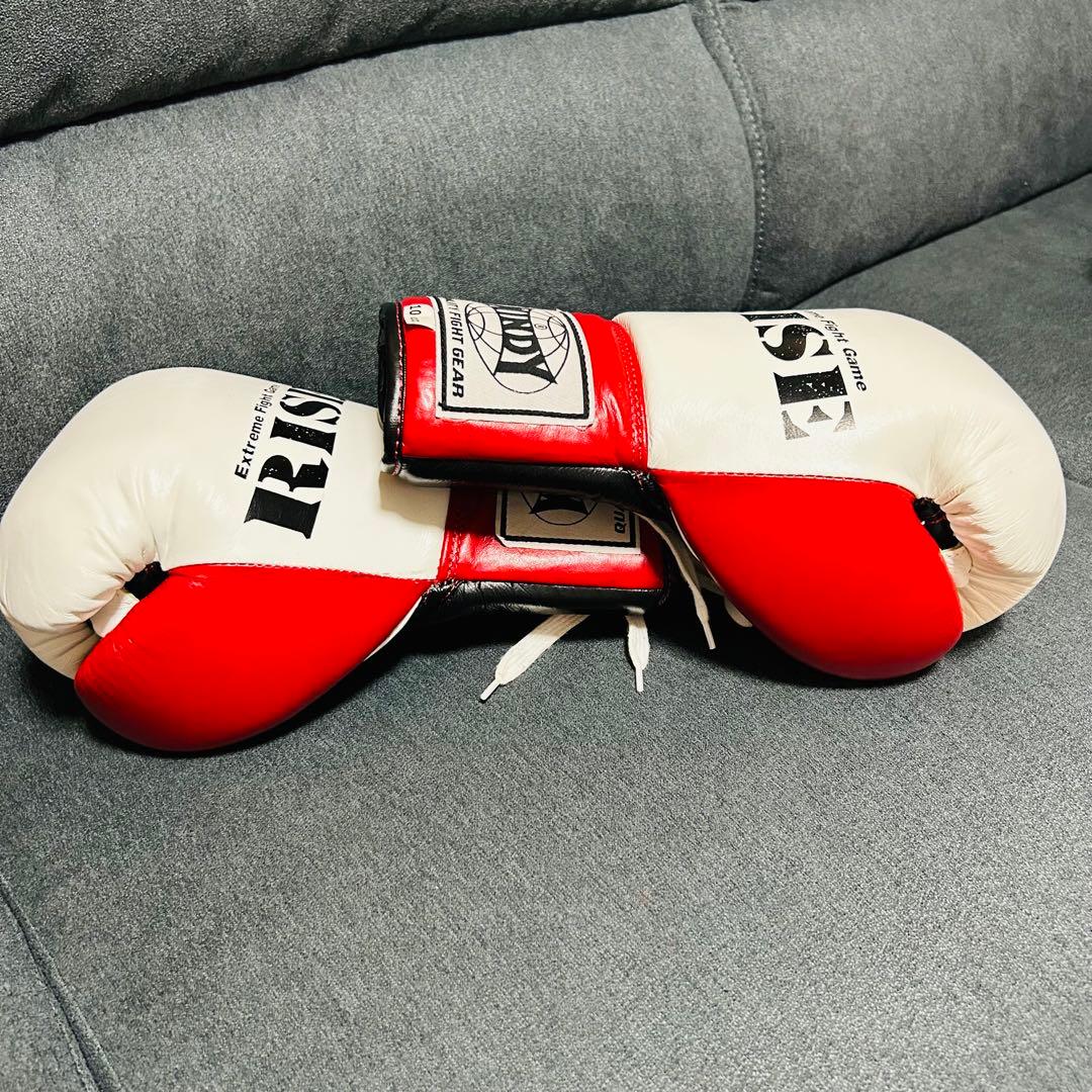 RISE ボクシンググローブ 10oz (美品)