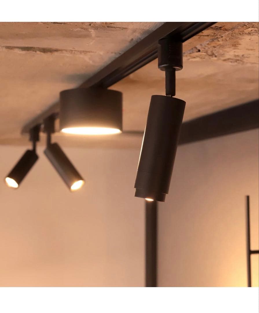 エジソンスマート　スポットライト　2個セット