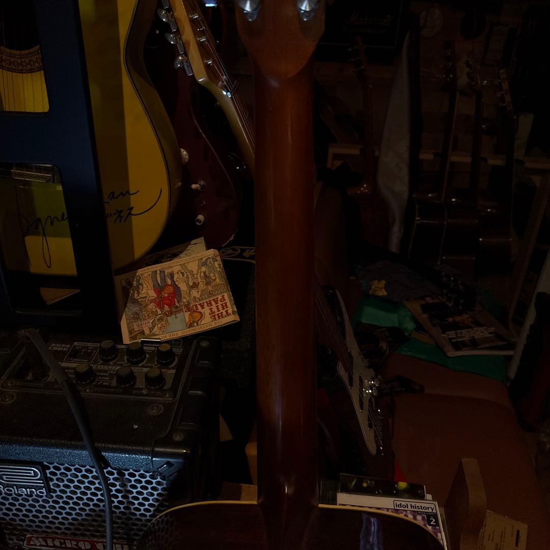 Fernand esアコースティックギター ドレッドノート