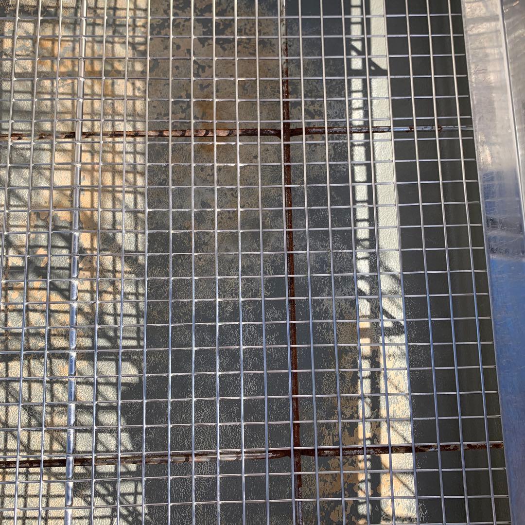 うさぎのしっぽ　オリジナル　プロケージ80