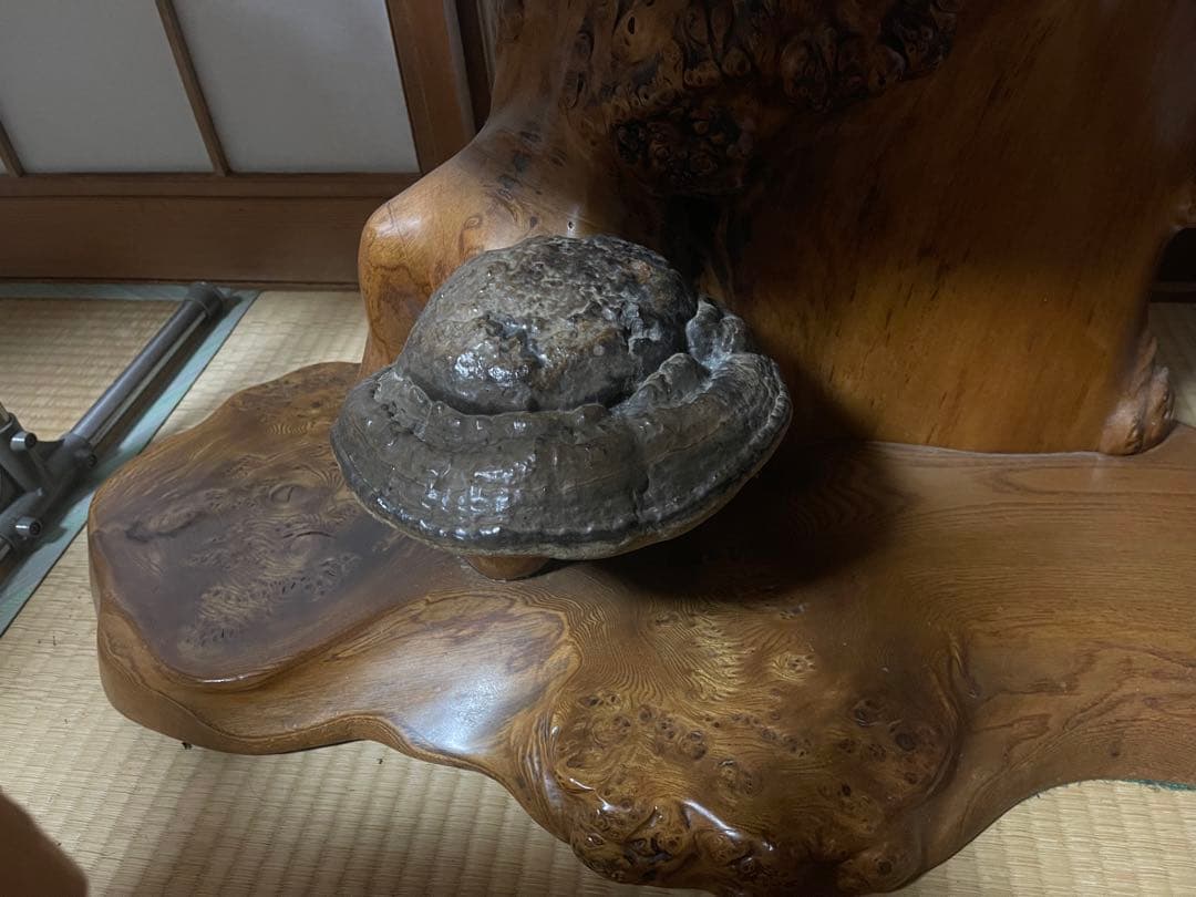 木製テーブル さるのこしかけ