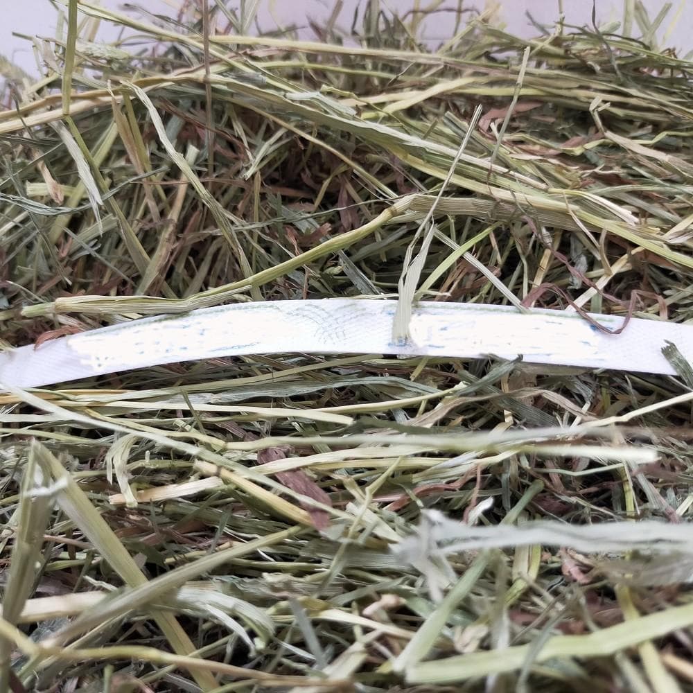 US産 チモシー 120kg ２番刈り ソフトスーパープレミアム