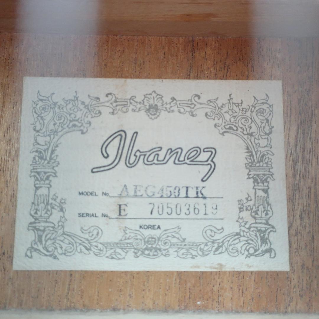 段 弦 Ibanez AEG450TK エレアコ ギター ストラップ＆ケース付