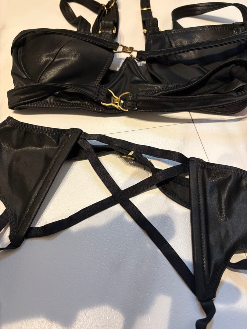 pharfaite SGS セミオープンバスト・ハーネスボンテージセットアップ